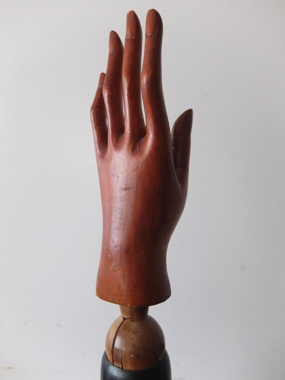 Mannequin's Arm (A1221)