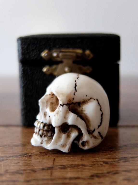 Carved Skull with Case (A0320)