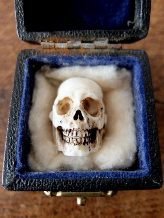 Carved Skull with Case (A0320)