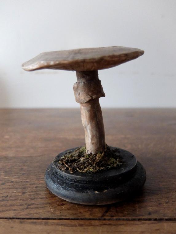 Mushroom Model (A0320-01)