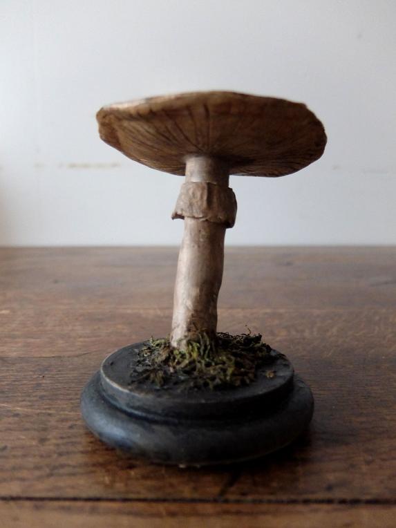 Mushroom Model (A0320-01)