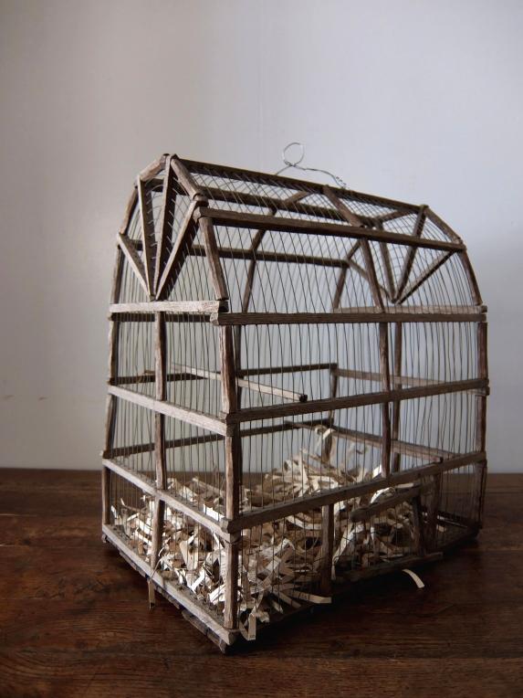 Bird Cage (A1014)
