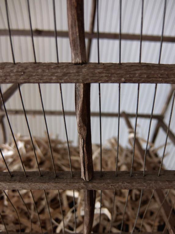 Bird Cage (A1014)