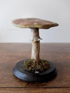 Mushroom Model (A0320-04)