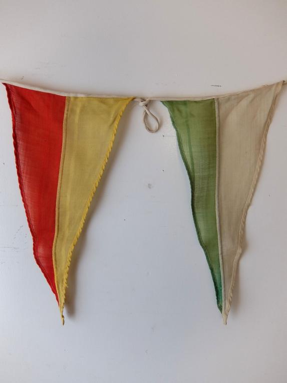 Carnival Bunting Flags (A0321)
