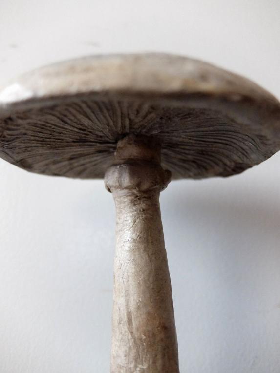 Mushroom Model (A0320-02)