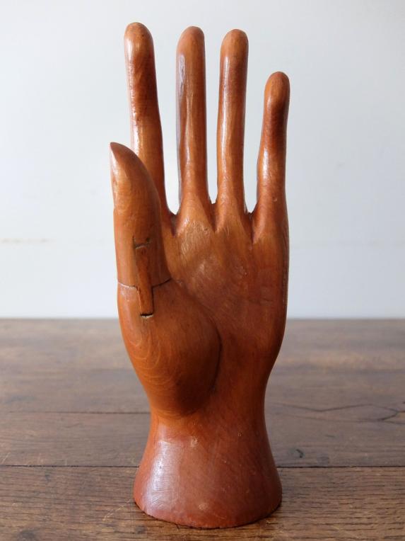Glove Hand Display (A0421-01)