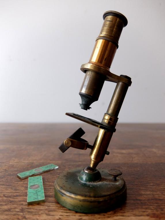 Microscope (B0418)