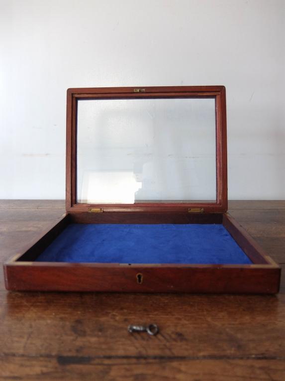 Display Case (A0423)