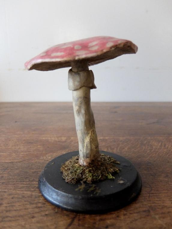 Mushroom Model (A0320-05)