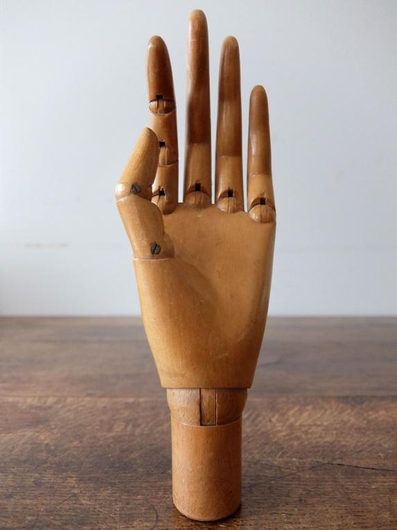 Mannequin's Hand (B0421-01)