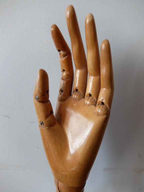 Mannequin's Hand (B0421-01)