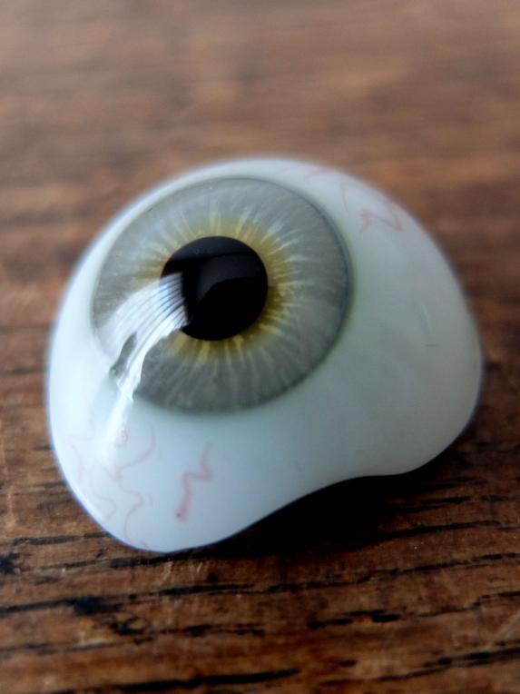 Prosthetic Glass Eye with Box (B0417)