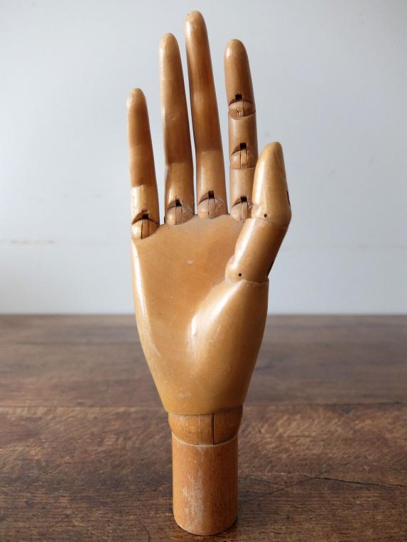 Mannequin's Hand (B0421-02)