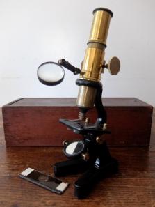 Microscope (A0524)