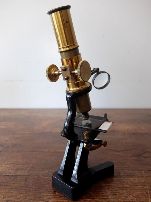 Microscope (A0524)
