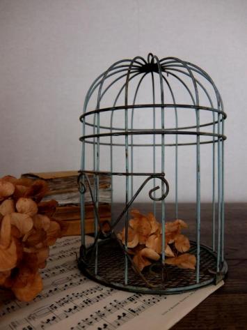 Bird Cage (A0214)