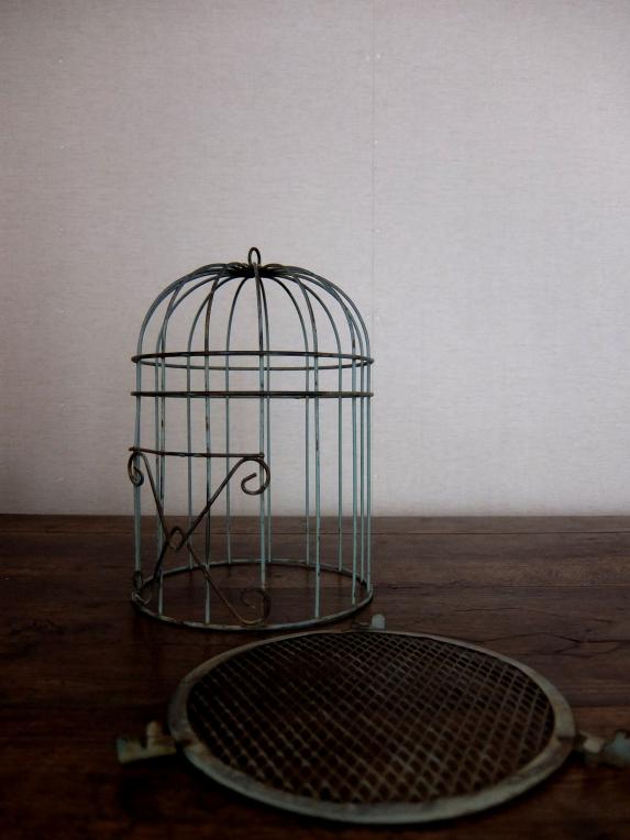 Bird Cage (A0214)