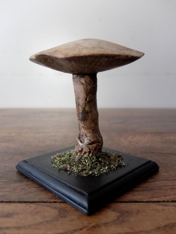 Mushroom Model (B0320-01)