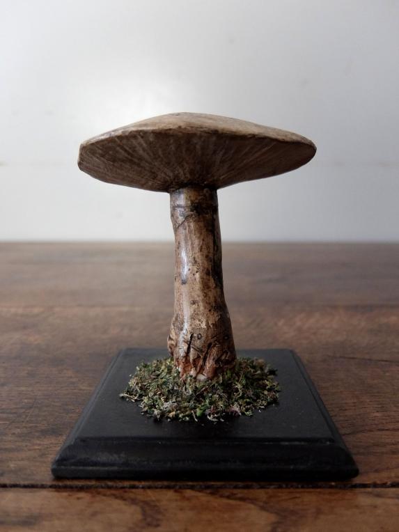Mushroom Model (B0320-01)