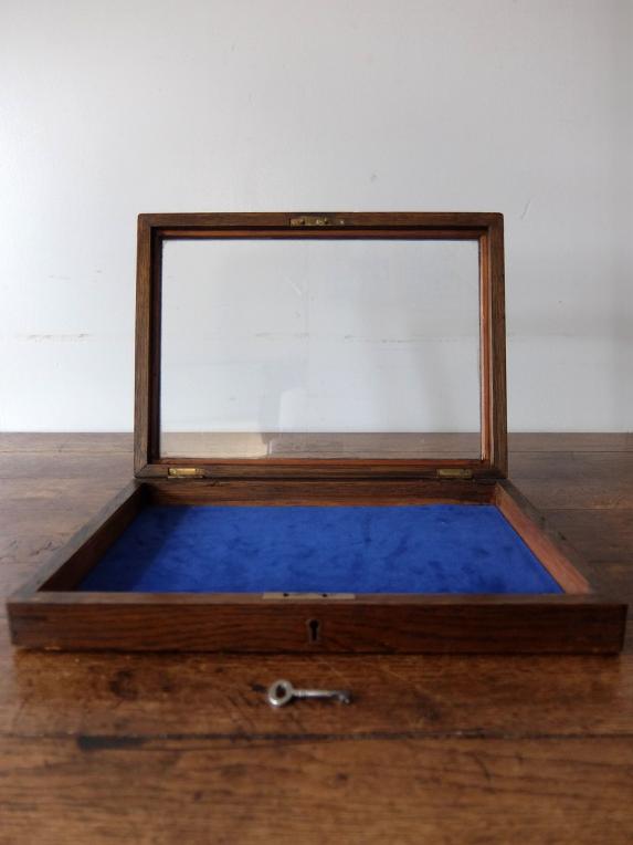 Display Case (A0523)