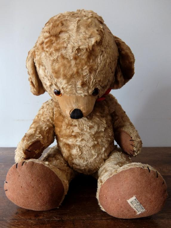 Plush Toy 【Merrythought Cheeky Bear】 (C0523)