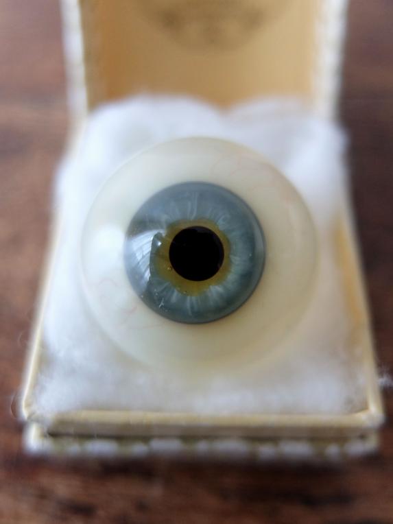 Prosthetic Glass Eye with Box (F0518-03)