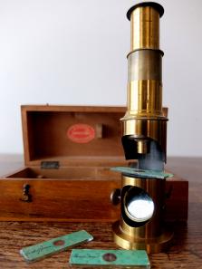 Microscope (A0517)