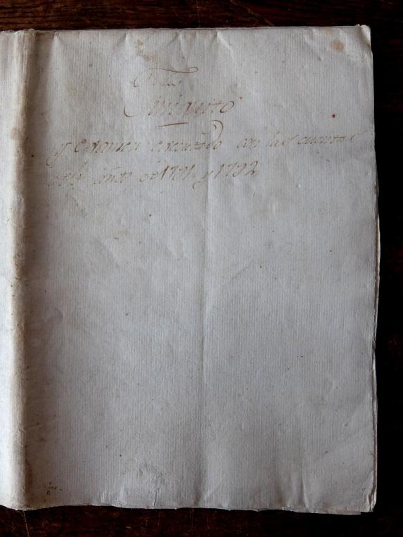 Manuscript's Book (A0520-02)