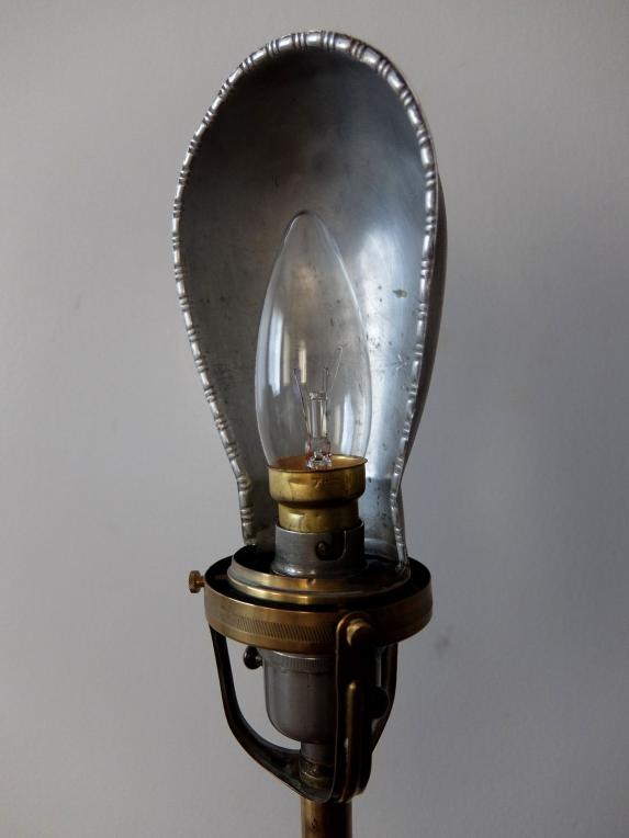Goose Neck Desk Lamp (A0521)