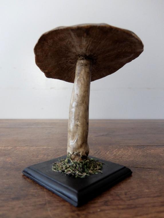 Mushroom Model (B0320-02)