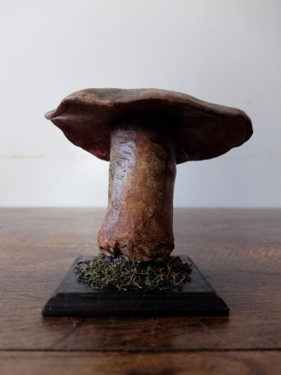 Mushroom Model (B0320-04)