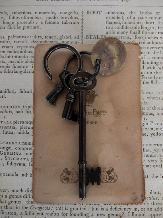 Antique Key (B0214)