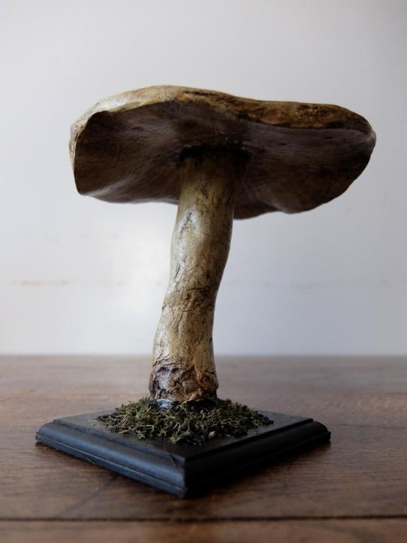 Mushroom Model (B0320-03)