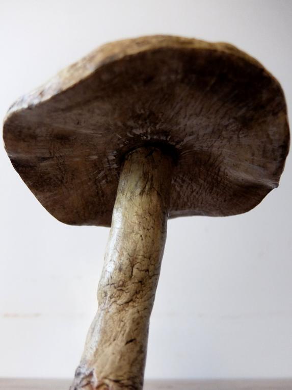 Mushroom Model (B0320-03)