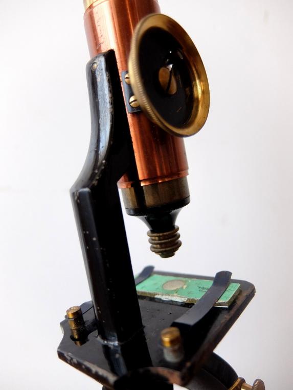 Microscope (A0617)