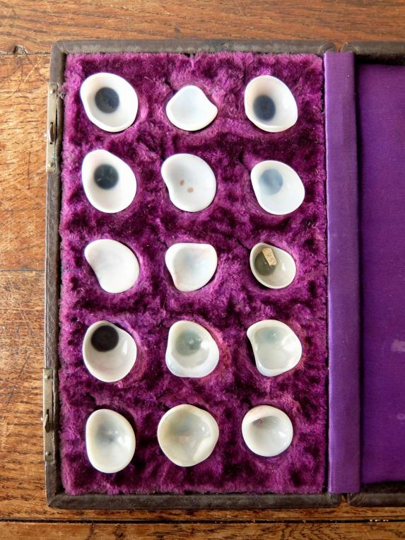 Prosthetic Glass Eyes with Case (15 pcs) (A0218)