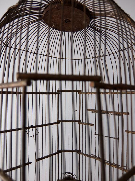 Bird Cage (A0515)