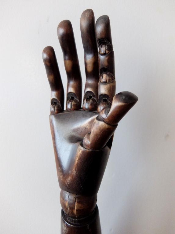 Mannequin's Arm (A1019)