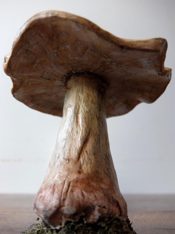 Mushroom Model (B0320-05)