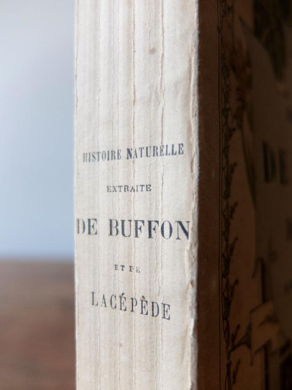 Antique Book (Buffon) (E0516)