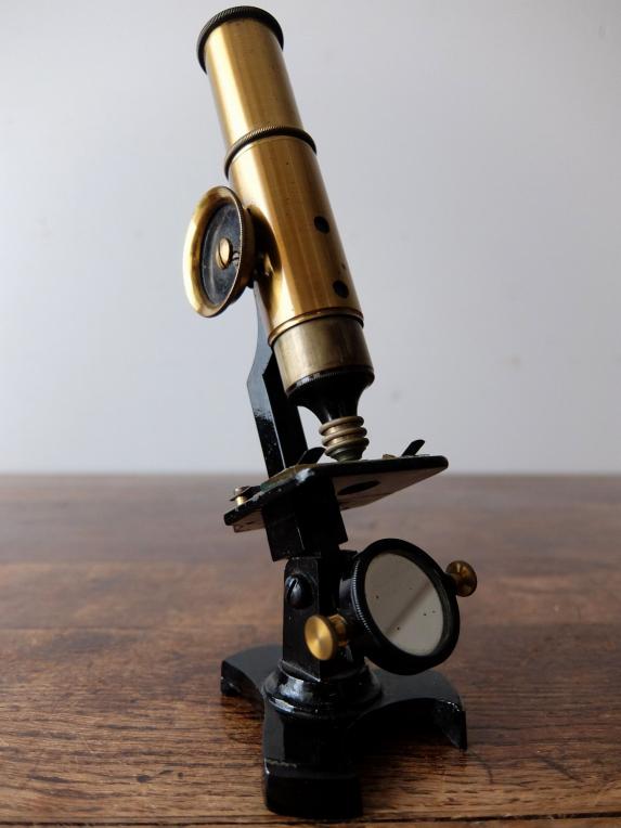 Microscope (A0619)