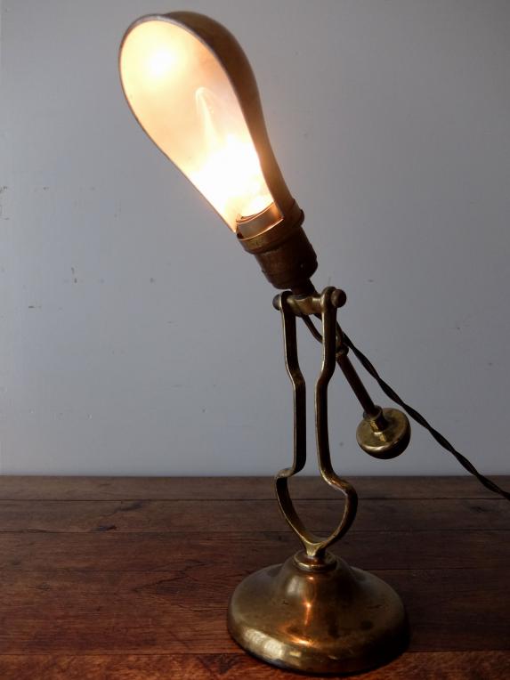 Gimbal Tilting Boat Lamp (A0718)