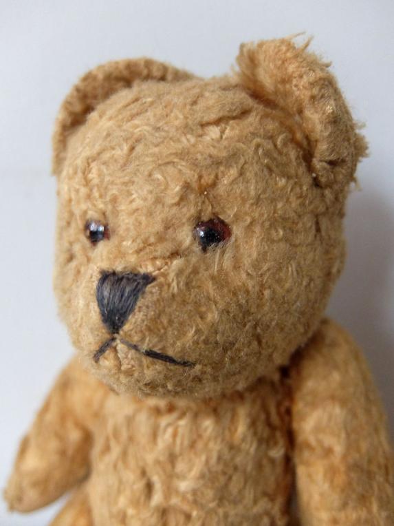 Plush Toy 【Bear】 (B0722)