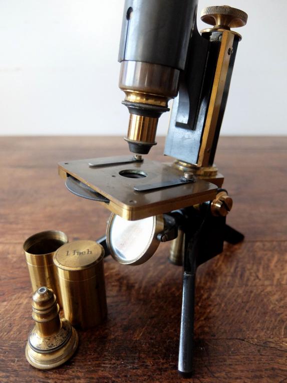 Microscope (A0722)