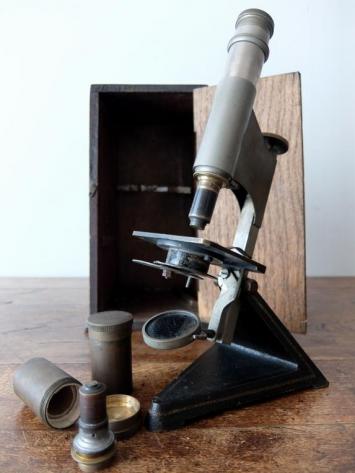 Microscope (A0718)