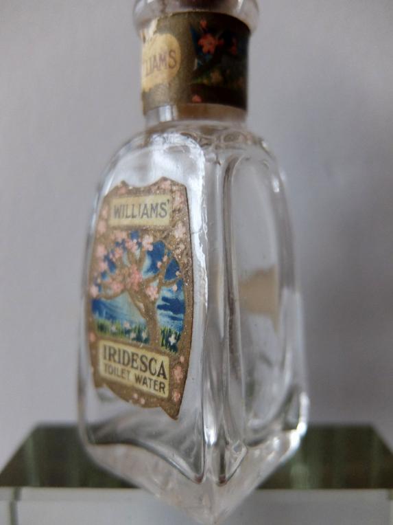 Perfume Bottle (F0720-04)