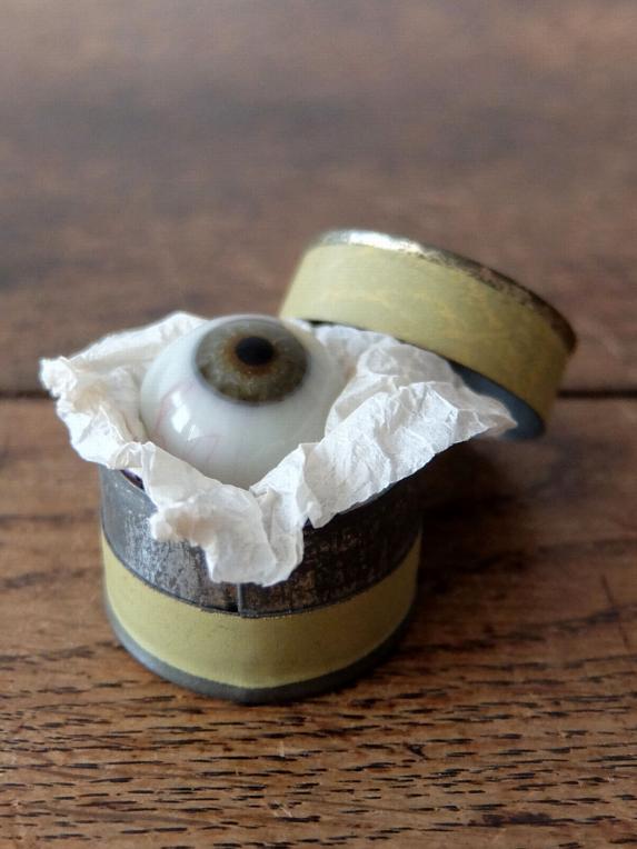 Prosthetic Eyes with Case (A0721-02)