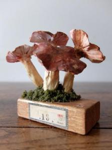 Mushroom Model (A0821)