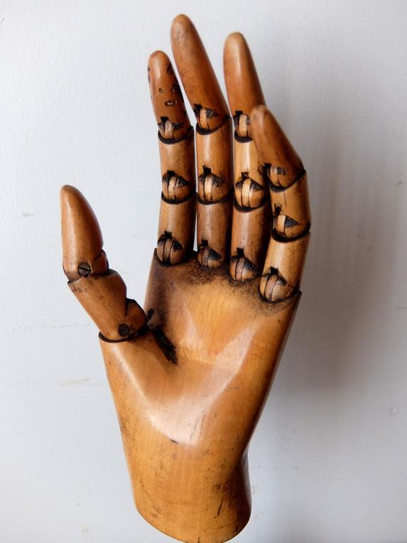 Mannequin's Hand (A0718)